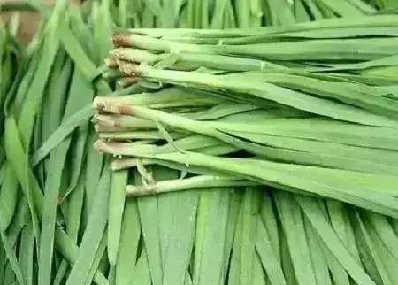 塑料袋